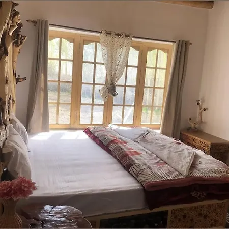 Green Valley Homestay - Boutique Stay In Sumur, Nubra Valley Exterior photo