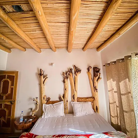 Green Valley Homestay - Boutique Stay In Sumur, Nubra Valley Exterior photo