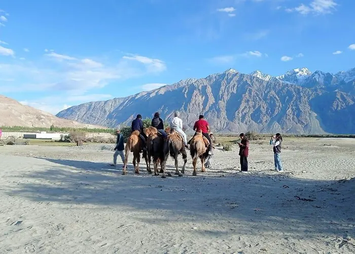 Green Valley Homestay - Boutique Stay In Sumur, Nubra Valley